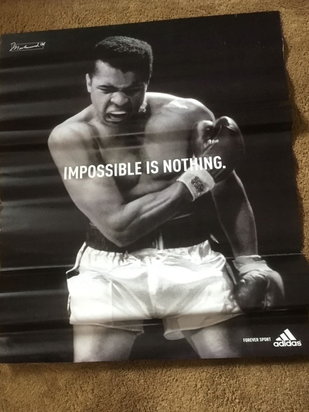 Muhammad Ali Impossible Is Nothing ((Forever Sport -adidas) Poster NICE!
